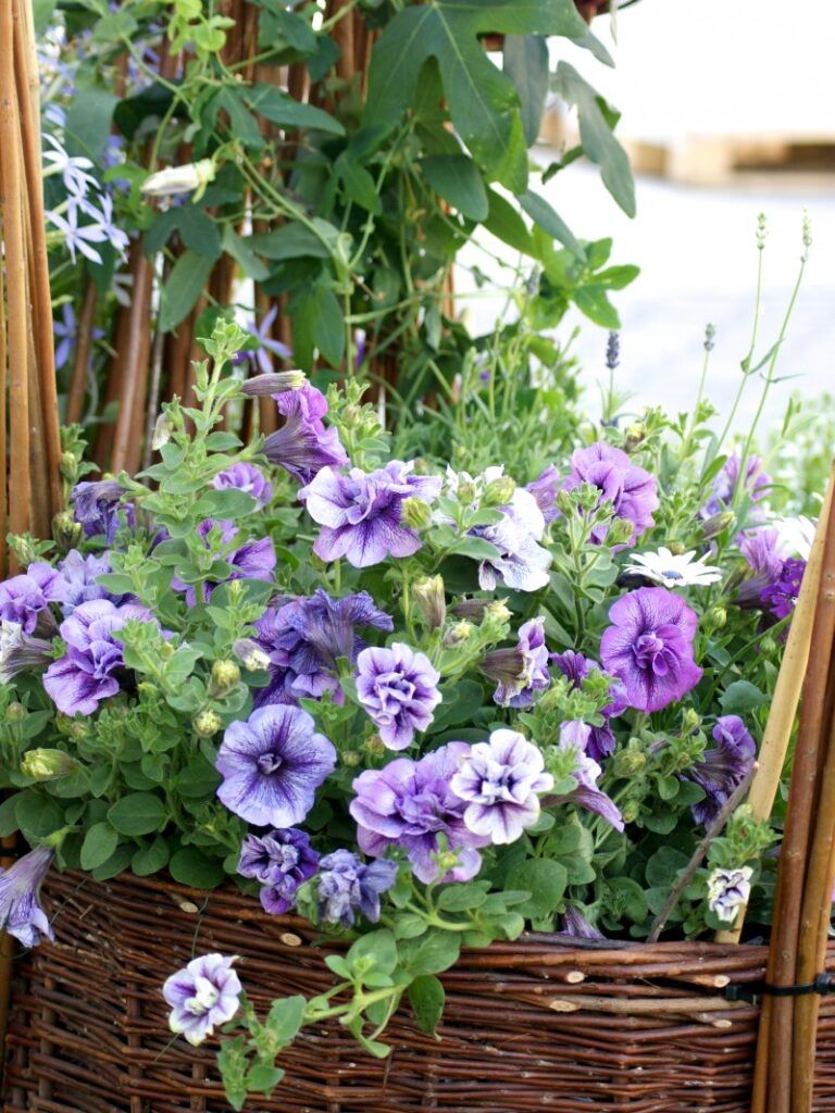 Bloembakken en bloemen - Vrienden van het Reggedal